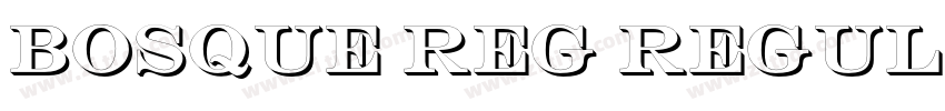 Bosque Reg Regular字体转换